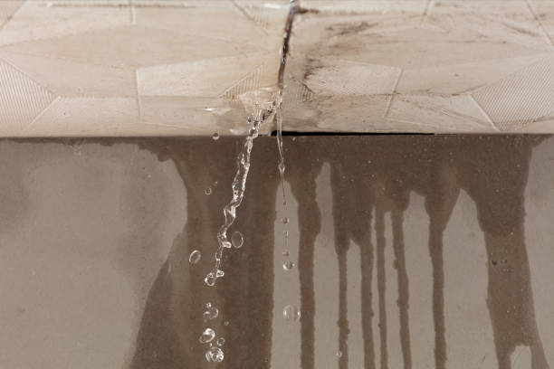 Professional Structural Drying technician working in Plainfield, NJ